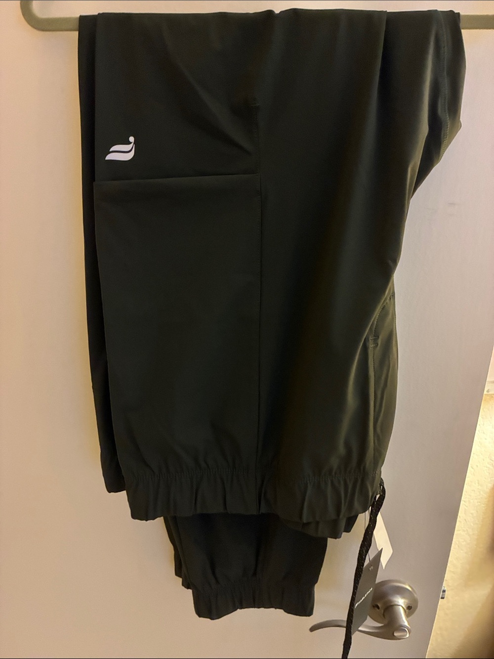 Fabletics Mens green pants